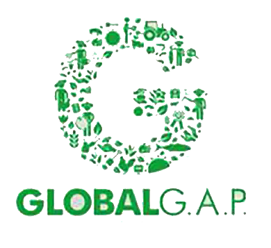 compressed-F9qV0EFBj8Kc2ShQBJrM4mrZeosSOuML_whatsapp-image-2026-01-07-at-85853-pm (11)